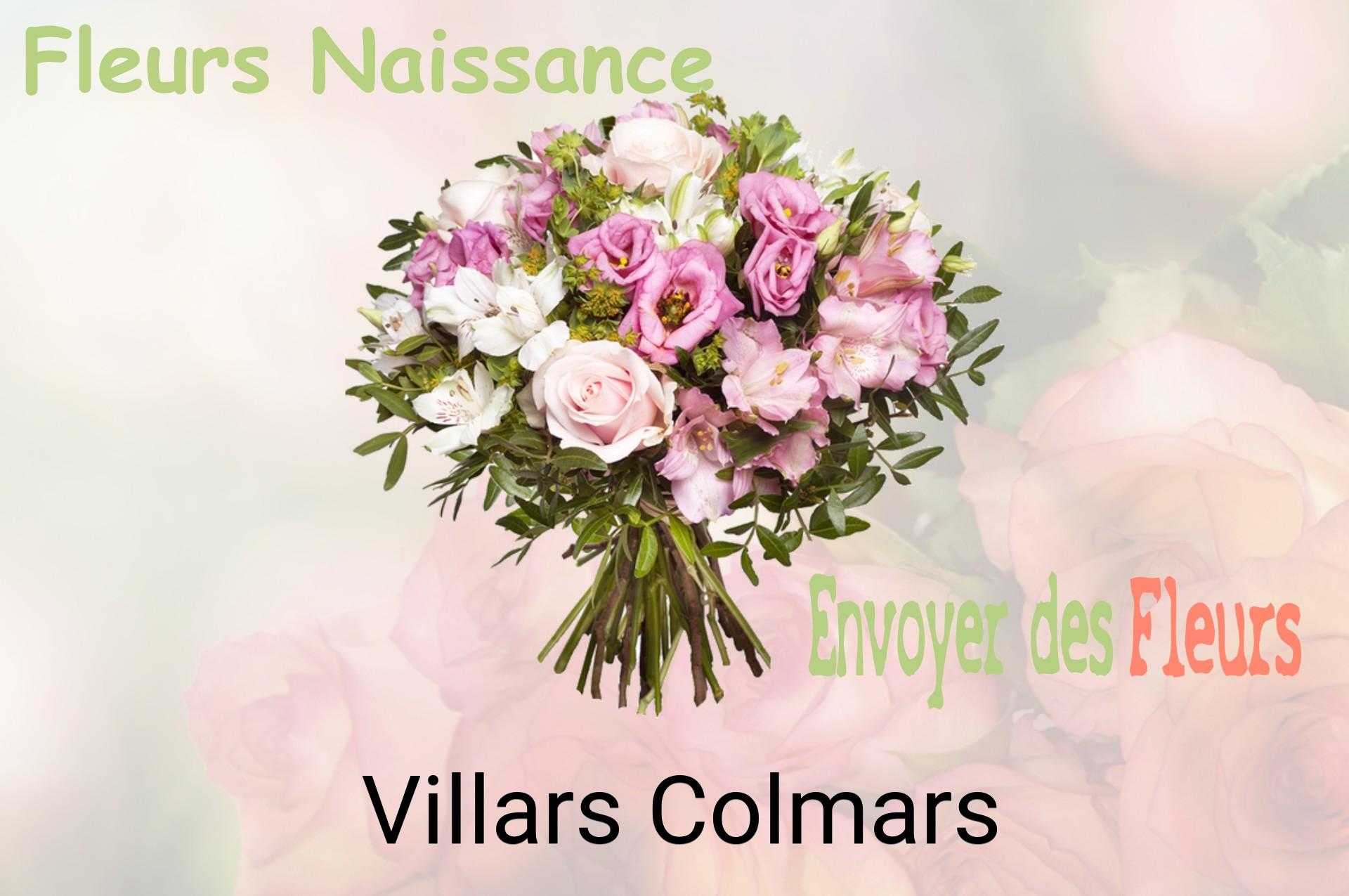 Bouquet de fleurs de naissance livré à Villars-Colmars
