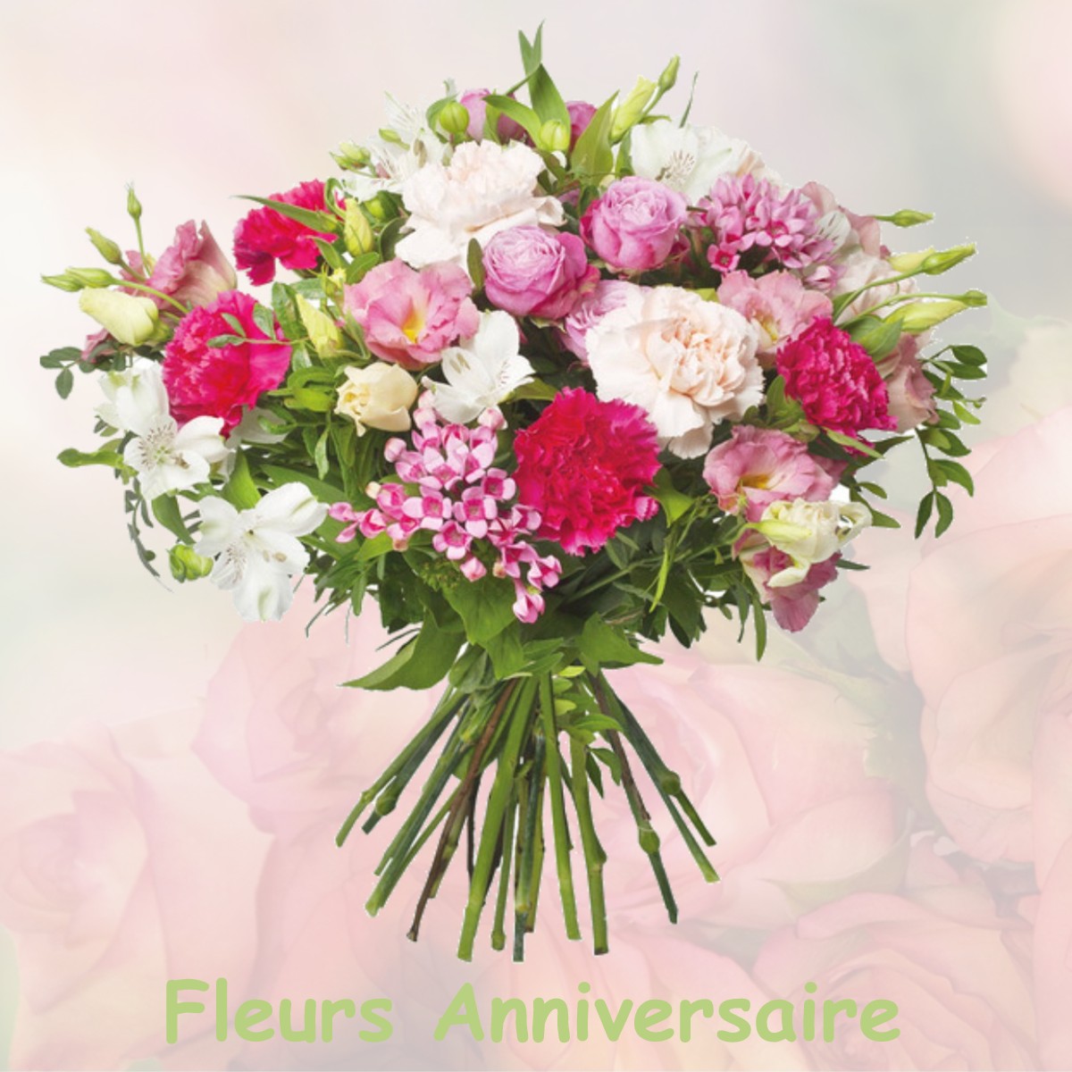 fleurs anniversaire VILLARS-COLMARS